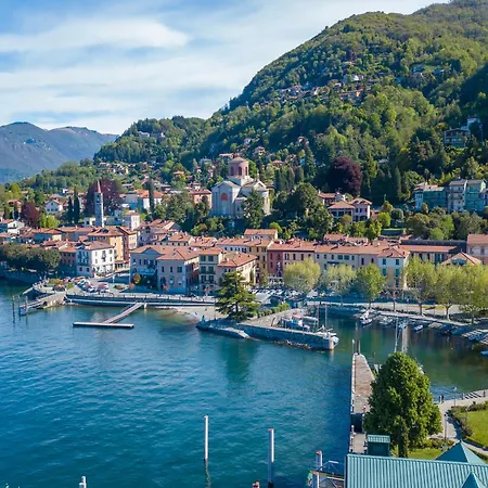 Alle Camelie - Happy * Locarno